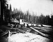 Loaded train at Salt Chuck ready to unload (Lumbering - Hauling logs with engine) 1868-1923