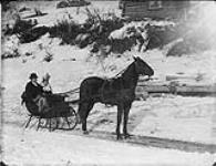 Horse and sleigh in the Klondike 1897-1910