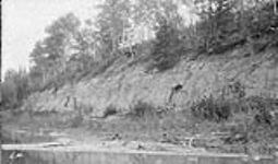 Athabasca River Dist., Alta 1913