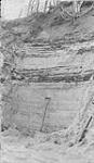 Section of Typical marginal deposit showing thin interbedded bit. sand partings, McLennan Lake, Alta 1924