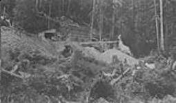 Wolf Mine, Kitsault River, 1/2 mile from Alice Arm, B.C. (Mr. Fiva, Owner) June 1928