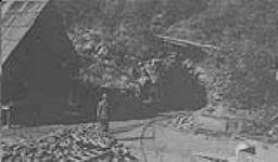 Portal of main tunnel, coast Copper Mine, Quatsino, Vancouver Island, B.C June 1928