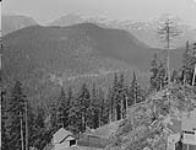 Premier Mine, B.C. Looking North towards woodbine July 1928