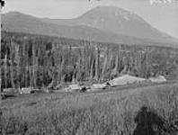 Owen Lake Mining and Development Co., Tunnel Bldgs. looking North West towards Nadina Mt. & Owen Lake, B.C 1929