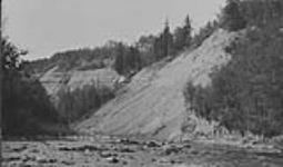 General position of fossil bed, Hangingstone River, North Alberta Aug. 1931