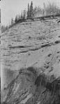 Bit. sand partings in North bank at point 2000' North of Marguerite Forks, Pinkish clay shows at lower part of section, Firebag R., Alta 1931