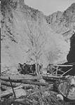 Grange Mine, B.C. Camp end of pack trail. (Kelly Creek, Fraser R.) Jan. 1936