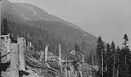 B.C. Nickel Mine Camp, Emery Creek, B.C Sept. 1935