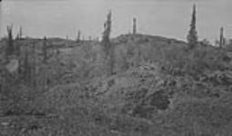 1200' section, No. 2 vein, outcrop is at higher elevation above lake (150') shows No. 10 Pit X, Great Bear Lake, N.W.T Aug. 1931