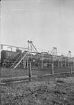 Gasoline tank cars and loading platform at Canadian Oil Refineries Ltd., Petrolia, Ont Aug. 1930