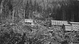 Mill under construction, Spud Valley Gold Mines, Zeballos District, B.C 1938