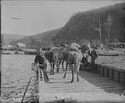 Upper Ferry Klondike River, Yukon 1899