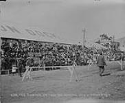 General view of Grandstand 24 May 1901