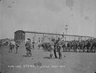 5th C.M.R. Halifax May 1902