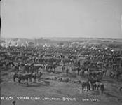 Durban Camp. left center (South Africa) June 1902