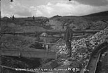 Mining Caribou, Dominion Creek 1900