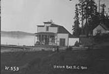Photographic view of Union Bay, B.C 1900