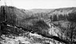 View of Steepbank Valley following fire July, 1942