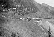 Reno Mine and Mill, Sheep Creek, B.C
