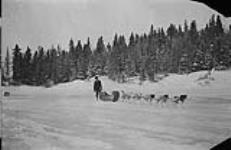 Dog team on Playgreen Lake, Man. 1912