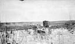 End of the steel near McMurray, Alta. 1917. E.D. & B.C. Railway