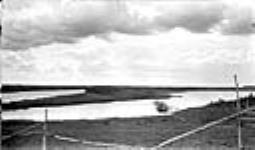 Hay on delta land lower Beaver River near la Plonge, Sask 1919