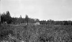 New settler (this spring) making a start. S.E. 1/4, Sec. 2, Tp. 57-12-5, Alberta 1919
