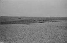 Irrigation Flume taking water over ravine, S. Alberta 1919