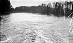 Looking downstream from Cowan Lake Dam after Gates opened for 12 hours 1919