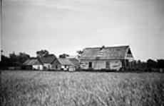 Clean and neat farmstead of the foreign settlement along Brokenhead River, Manitoba 1919