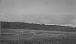 Land in valley near Fort Assiniboine [Alta.] 1919