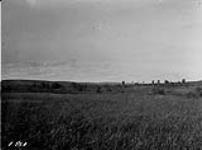 View in Pouce Coupé proposed forest reserve, Burnt River Valley Peace River district, Alta 1920