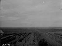 Experimental plots, Beaverlodge, Alta. 1920 1920