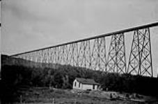 Steel bridge at Lethbridge, Alberta - one mile long 1921