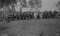 Survey horses lined up for saddling, B.C