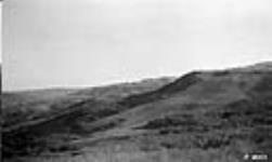 Looking N.E. from centre of 6-8-3-4, [in Cypress Hills Prov. Park] Alta 1921