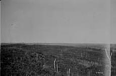 Western edge of Basin Lake Forest Reserve [Sask.] 1921