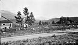 Foreground at Jasper, Colin Range in background 1921