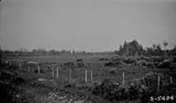 Typical meadow land southern part of township, 19-R-2-E-1., near Fraser Wood, Man 1922