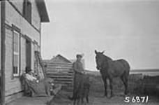 The only horse in the north at Norman, [N.W.T.] 1923