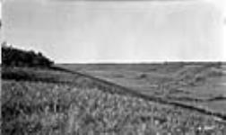 Creek valley looking northeast, Sask 1923