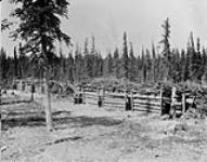 Trappers' dog shelters, Wholdaia Lake, N.W.T 1926