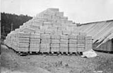 Wood pulp for export, Gaspereau, N.S 1926