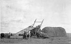 Ranchers building big hay stacks with scoop 1907