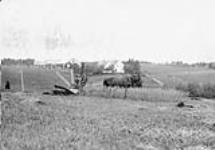 Joseph McNaughton's Farm, Eureka, Pictou Co. N.S 1907-1908
