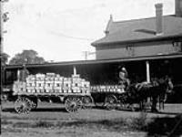 Delivering Fruit, Winona Station, [Ont.] 1925