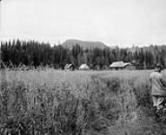 Pioneer Ranch, Bulkly [Bulkley] Valley B.C 1903-1914