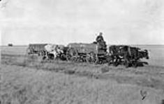 Hauling Wheat to Phippen Station, Sask