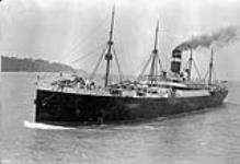 S.S. Ionian of the Allan Line in the St. Lawrence River ca. 1901-1917