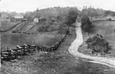 Road scene near Cordova 1900-1910